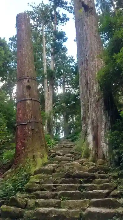 飛瀧神社(熊野那智大社別宮)の自然