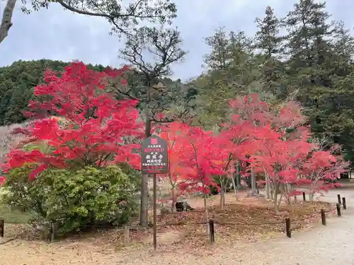 白水阿弥陀堂の庭園