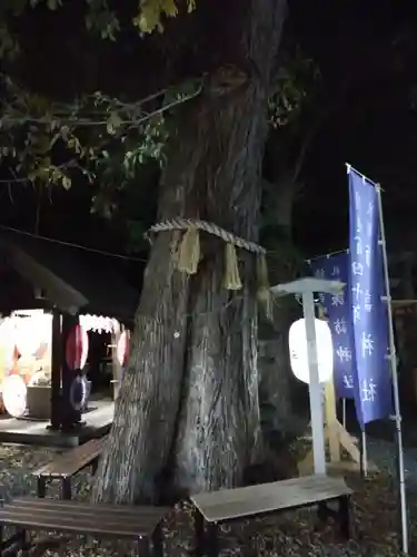 札幌諏訪神社の自然
