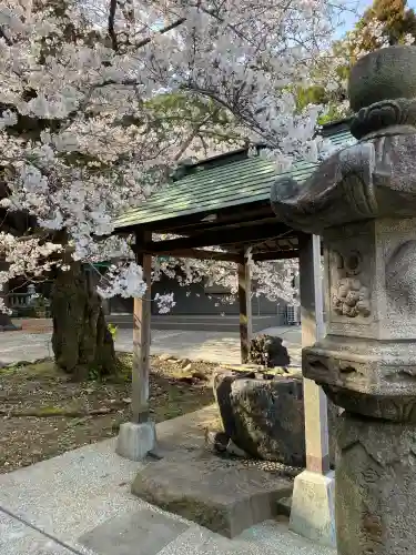 諏訪大神社(神奈川県)