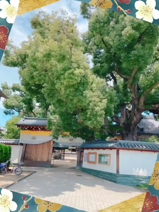 大聖観音寺(あびこ観音)のその他建物