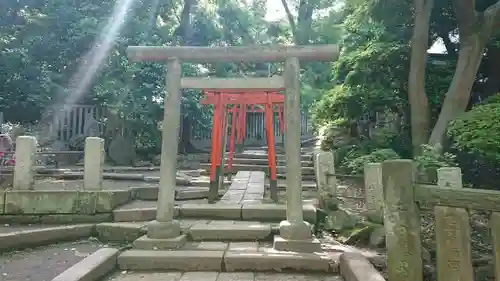 根津神社の鳥居