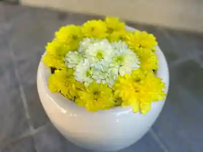 立志神社(滋賀県)