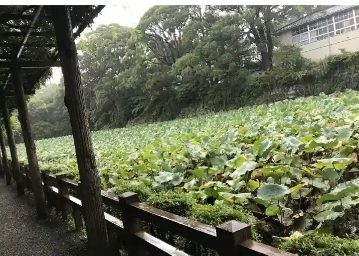 報徳二宮神社の庭園