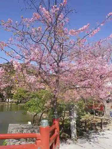 鶴岡八幡宮の庭園