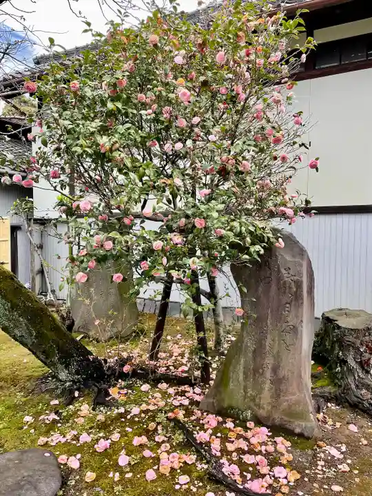 三囲神社(東京都)