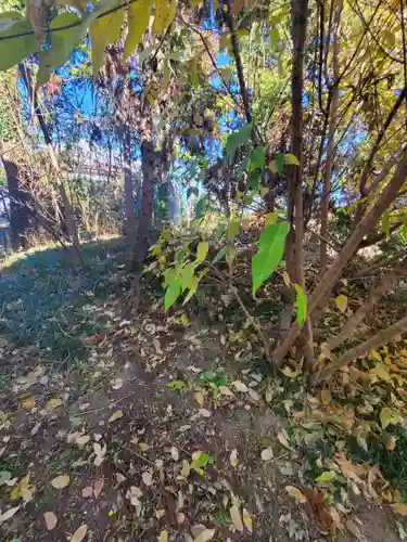 神明神社（羽刈町）(栃木県)