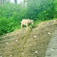 楽法寺(雨引観音)(茨城県)