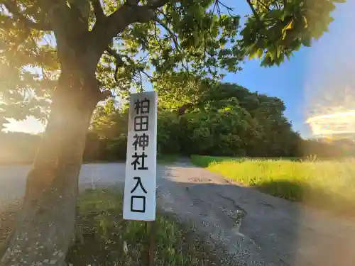 柏田神社の{uncategorized: "未分類", other: "その他", undefined: "問題あり", building: "その他建物", grave: "お墓", sacred_gate: "鳥居", guardian: "狛犬", statue: "像", buddha: "仏像", history: "歴史", nature: "自然", garden: "庭園", animal: "動物", pagoda: "塔", temizu: "手水舎", mountain_gate: "山門・神門", sanctuary: "本殿・本堂", subordinate: "末社・摂社", art: "芸術", scenery: "景色", jizo: "地蔵", ema: "絵馬", goshuin: "御朱印", omikuji: "おみくじ", items: "授与品その他", amulet: "お守り", goshuincho: "御朱印帳", eats: "食事", festival: "お祭り", votive_dance: "神楽", shichigosan: "七五三参", wedding: "結婚式", experience: "体験その他", initially: "初詣", around: "周辺", anti_infection: "感染症対策"}