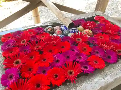 宝林寺(静岡県)