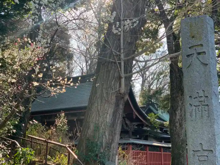 谷保天満宮のその他建物