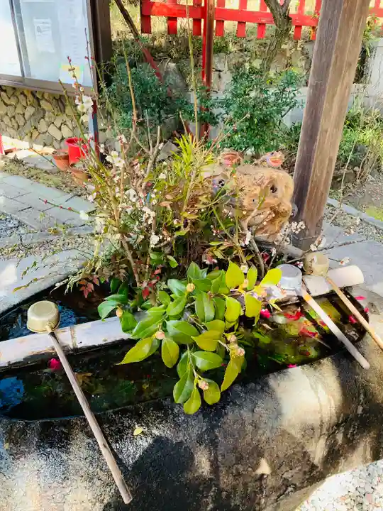 伏見稲荷大社(京都府)