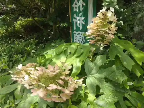 阿佐ヶ谷神明宮(東京都)