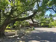 廣隆寺(京都府)