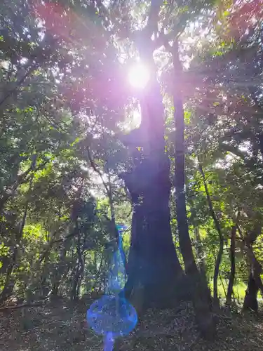 伊勢神宮外宮（豊受大神宮）(三重県)