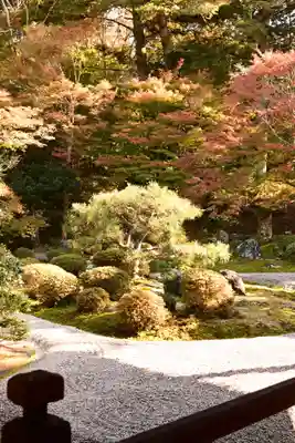 曼殊院門跡(京都府)