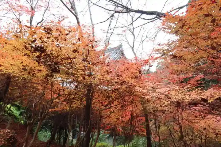 神護寺(京都府)