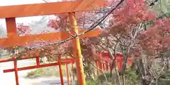 隅田八幡神社の鳥居