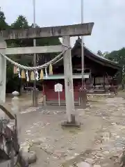 比良賀神社の鳥居