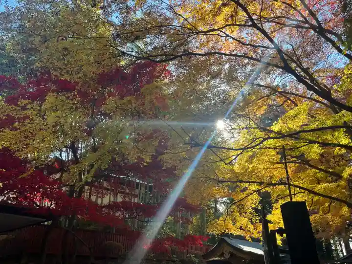 瑞鳳殿(宮城県)