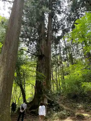 花園神社(茨城県)