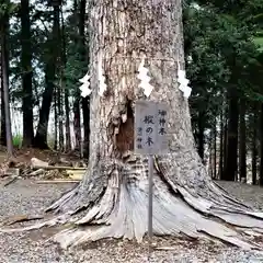 滑川神社 - 仕事と子どもの守り神の自然