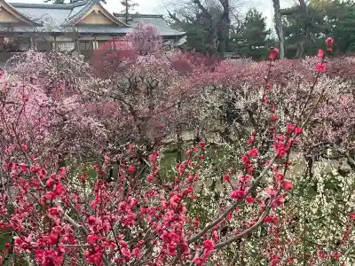 北野天満宮(京都府)