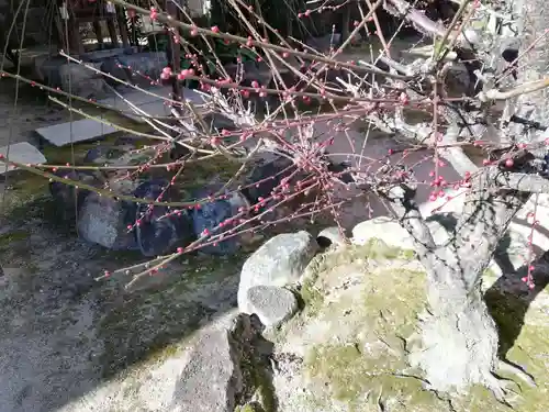 大阪天満宮の自然