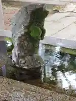 神炊館神社 ⁂奥州須賀川総鎮守⁂の手水舎