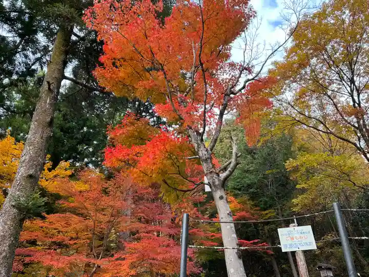 温泉寺(岐阜県)