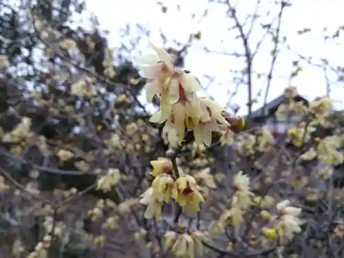 弘源寺(京都府)