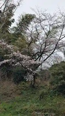 真光寺(福岡県)