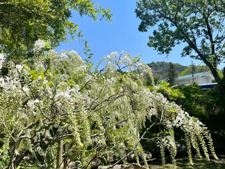 歌泉堂(春日大社神苑萬葉植物園内鎮座)(奈良県)