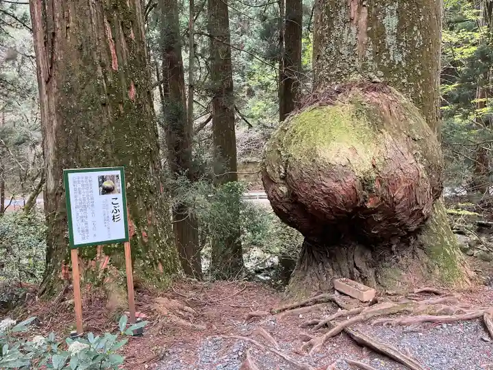 花園神社(茨城県)