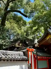 杭全神社(大阪府)