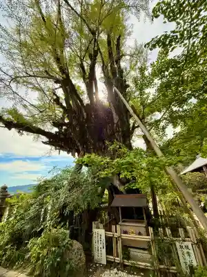葛城一言主神社(奈良県)