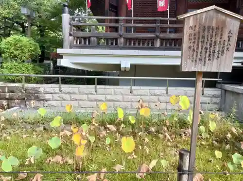 輪王寺両大師堂(寛永寺輪王殿)(東京都)