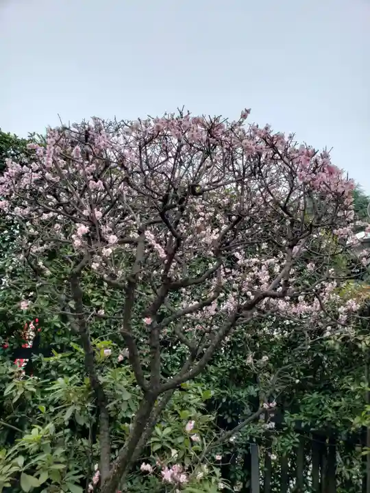 中野沼袋氷川神社(東京都)