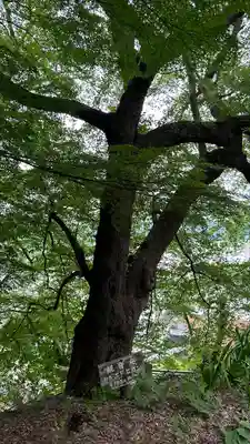 東正寺(山形県)