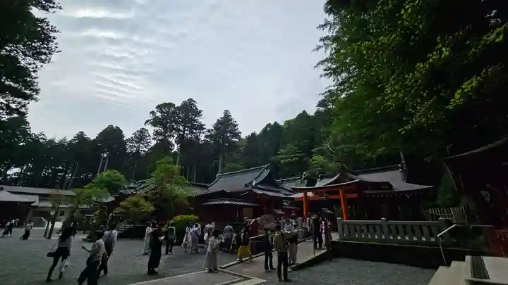 箱根神社(神奈川県)