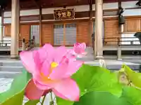 壽徳寺の本殿・本堂