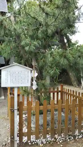 安久美神戸神明社の自然