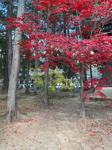 曹源寺(岡山県)