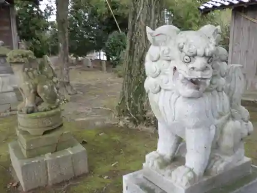 唐王神社の狛犬