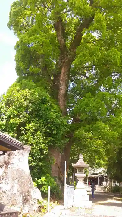 細江神社(静岡県)