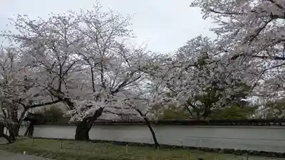 醍醐寺(京都府)