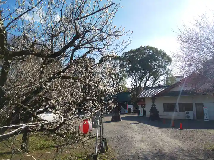 弘道館鹿島神社のその他建物