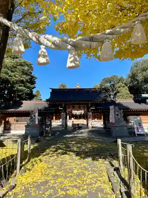 亀ケ池八幡宮(神奈川県)