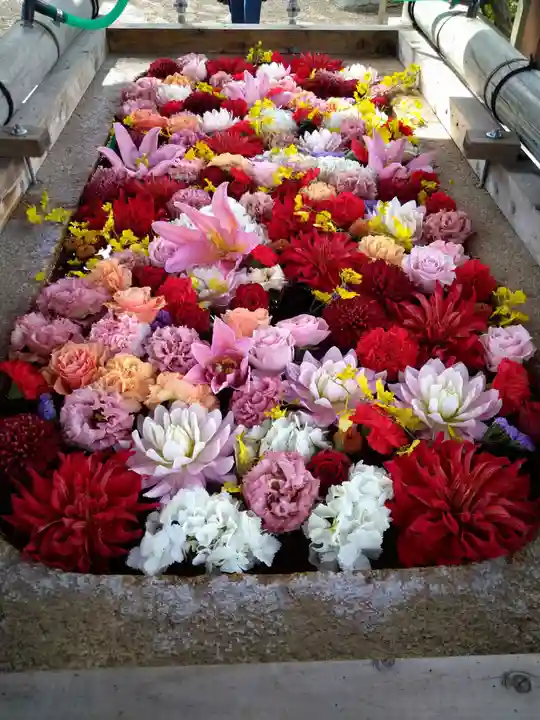 住吉大社(大阪府)