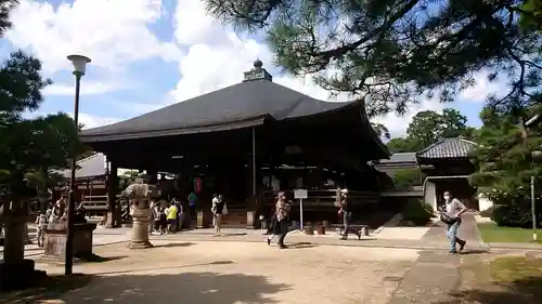 智恩寺の本殿・本堂